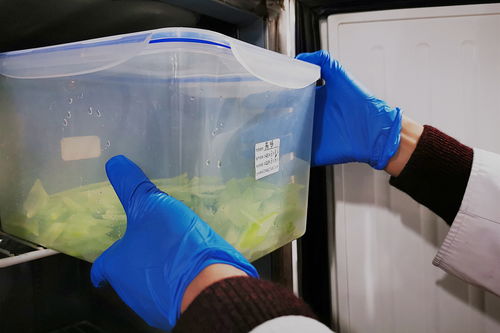 浙江浙大圆正酒店管理 依托学术背景，塑造专业酒店管理典范